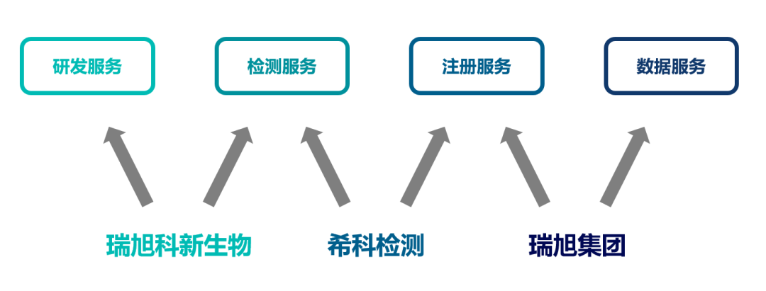 瑞旭科新生物,化妝品功效,日化品,瑞旭集團(tuán),希科檢測,注冊備案